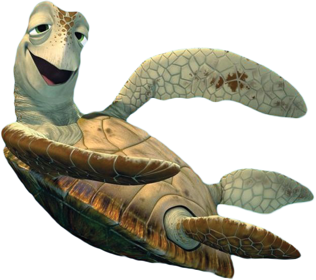 Turtle